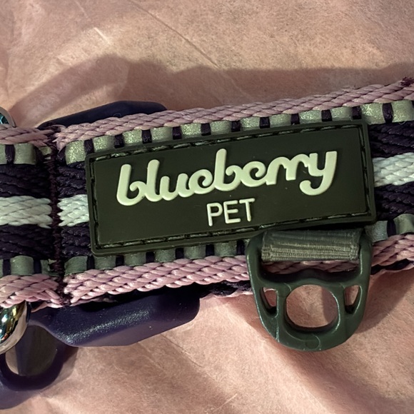Blueberry Pet 3M Reflective Dog Collars | Adjustable Dog Collar w/Multi-Colored - Picture 2 of 11